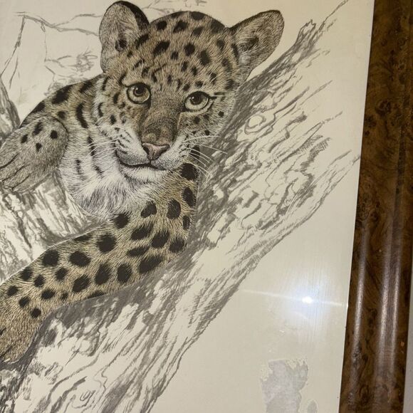 Framed Print Leopard Cub by Samara Seera 18.5 x 22.5” Big Cats African Safari - Picture 6 of 11